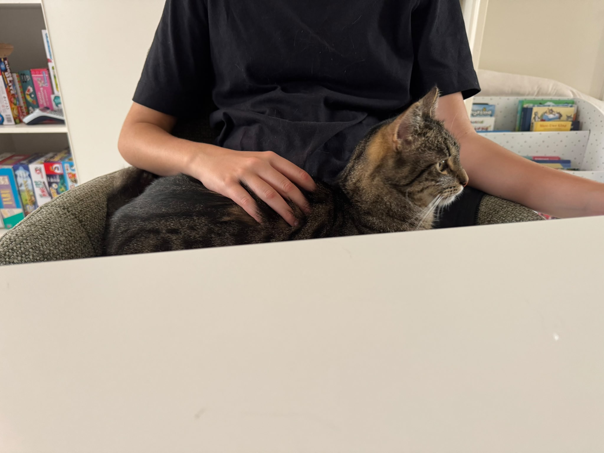 Lernkater Helge Schneider und Leselabbie Amos